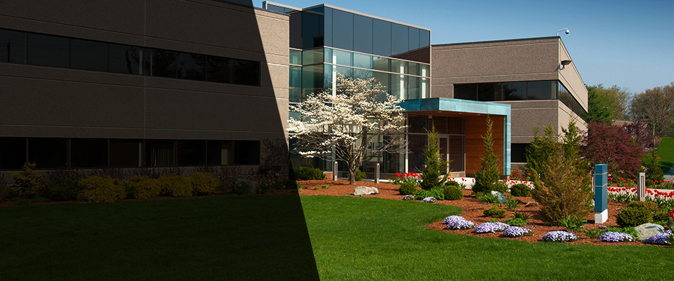 Cedar Lake Landscapers