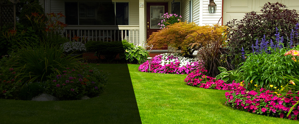Cedar Lake Landscapers