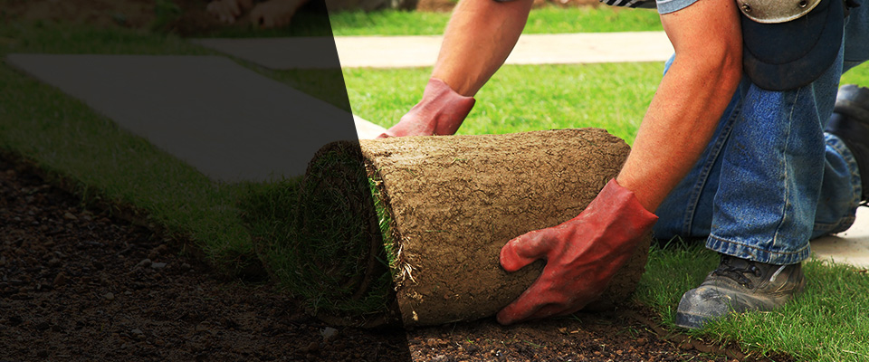 Cedar Lake Landscapers